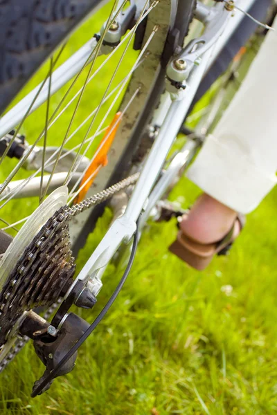 Bicycle Wheel Chain — Stok fotoğraf
