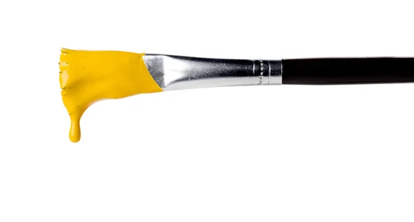 paint brush with paint on white background 