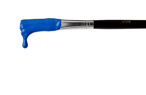 Blue Paint Brushes Brush — Zdjęcie stockowe