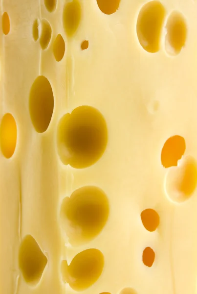 Macro Image Cheese — Foto Stock