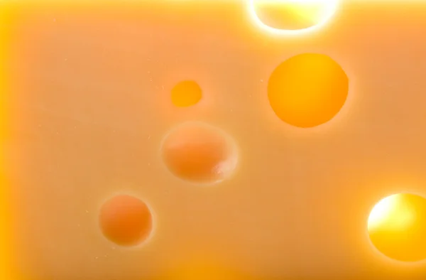 Close Cheese — Foto Stock