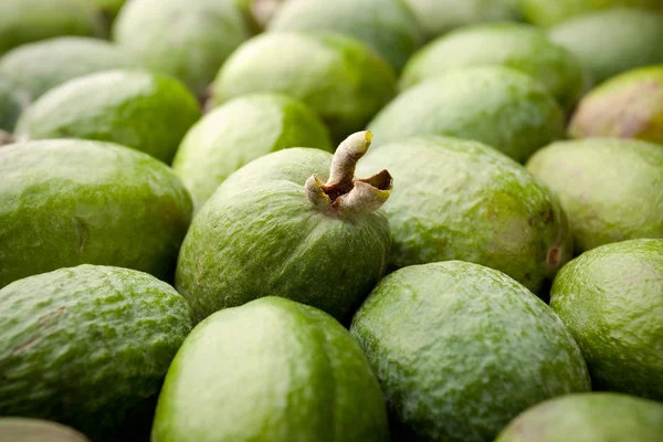 stock image Feijoa