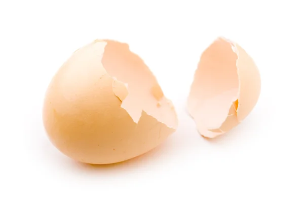 Eggshell — Stock Photo, Image