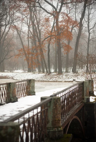 stock image Autumn park