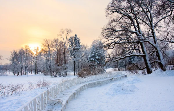 stock image Winter park