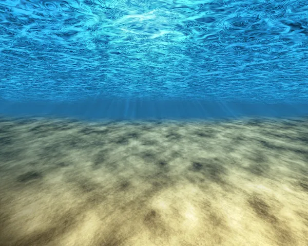 A tenger mélyén. Stock Kép