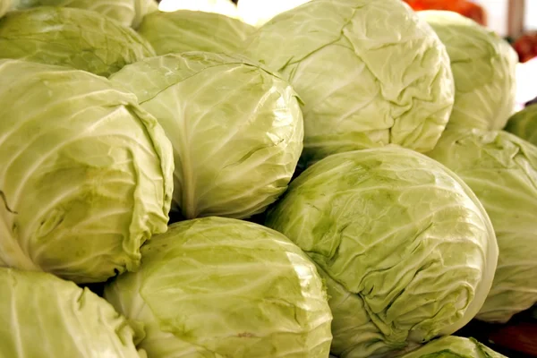 stock image Cabbage