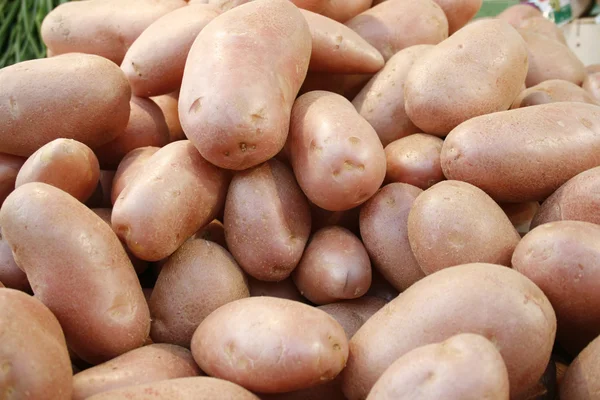 Potato on the market — Stock Photo, Image