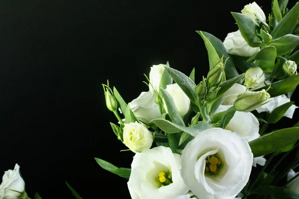 Kopyalama alanı olan çiçek arkaplanı