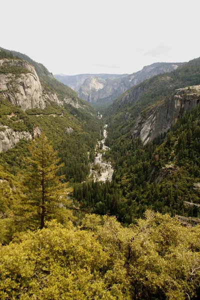 Rivière Merced à Yosemite — Photo