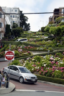 Lombard Street in San Francisco clipart