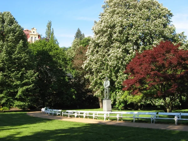 Park in Karlovy Vary — стокове фото