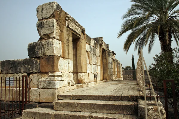Jesus Synagogue Capernaum — Stock Photo, Image