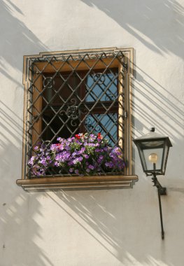 Window with spot. Regensburg clipart