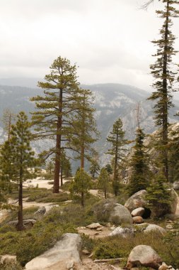 Pines glacier Point