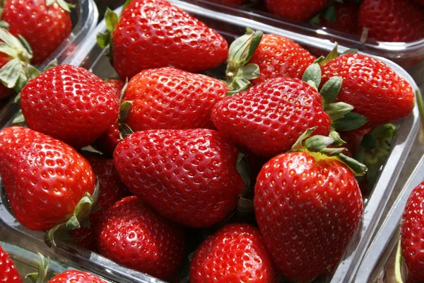 Stock image Fresh Strawberry