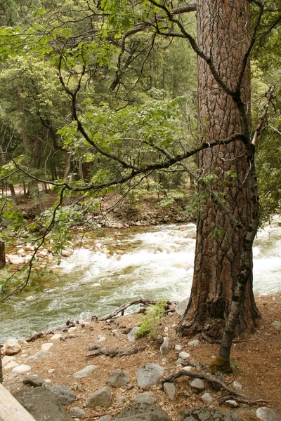 Річка в горах — стокове фото