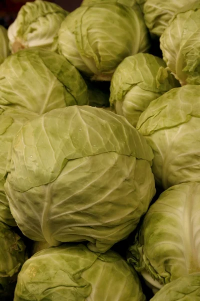 stock image Cabbage