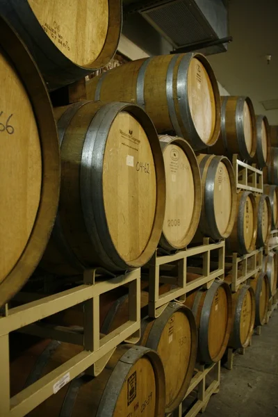 Barricas de vino en bodega —  Fotos de Stock