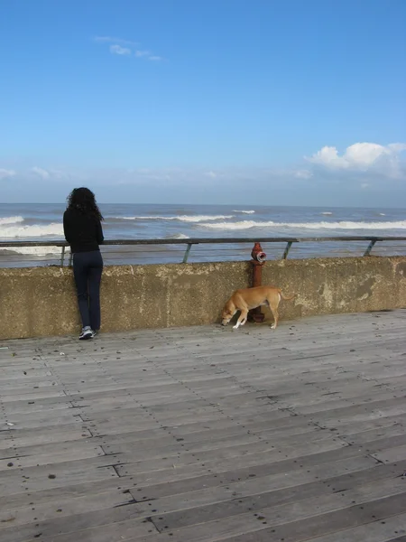 Jovem mulher e cachorro na praia — Fotografia de Stock