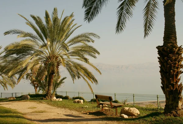 Nézd a Holt-tengertől, ein gedi úti — Stock Fotó
