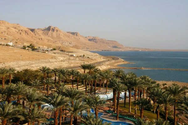 Oasis in Dead Sea — Stock Photo, Image