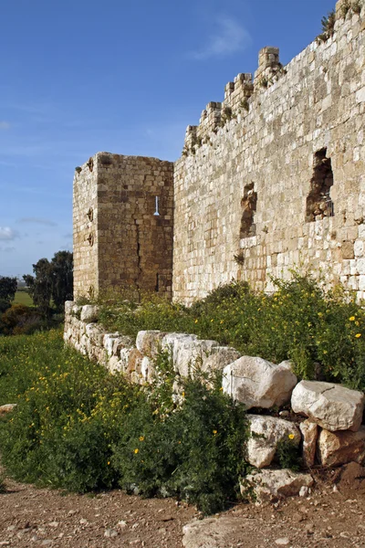Antipatris kalesi kalıntıları — Stok fotoğraf