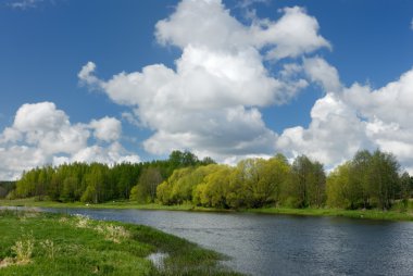 beautiful landscape on a summer day  clipart