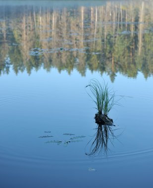 a beautiful shot of a lake with a reflection of water in a lake 