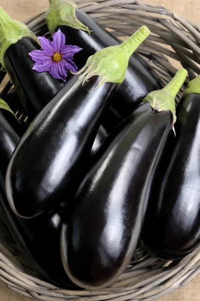 Fresh Eggplants Wicker Basket — Stock fotografie