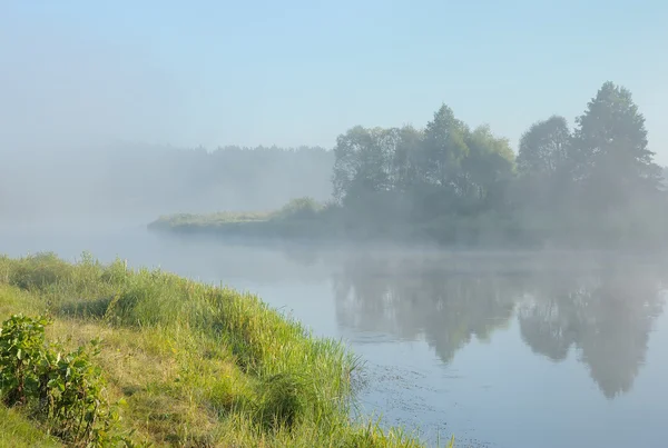 Beautiful Summer River Landscape Russia — 스톡 사진