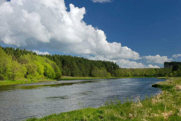 川と美しい風景 — ストック写真