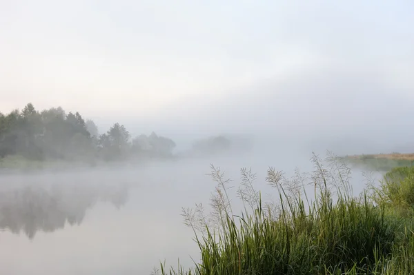 朝には川に霧が立ち — ストック写真
