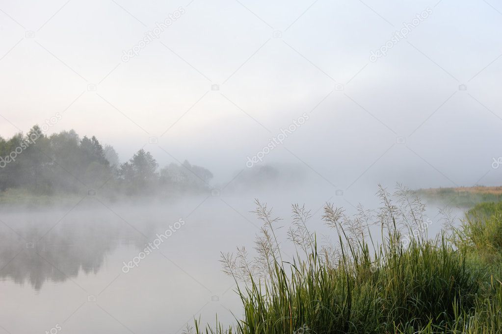 fog on the river in the morning 