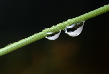 damla bir bıçak.