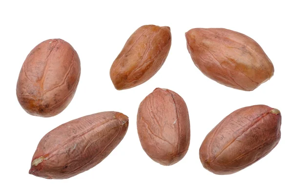 Erdnüsse. — Stockfoto