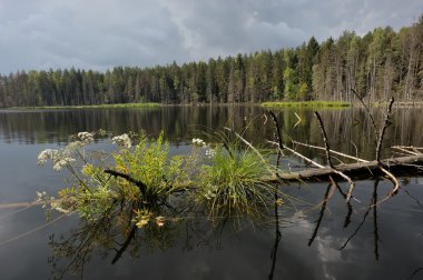 ahşap lake