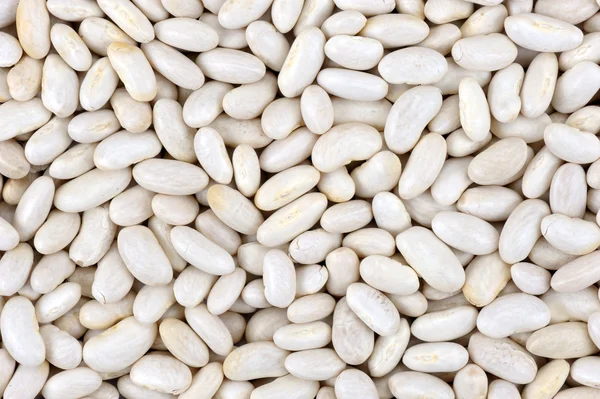 흰 콩 — 스톡 사진