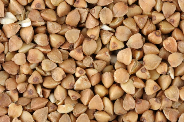 Buckwheat — Stock Photo, Image