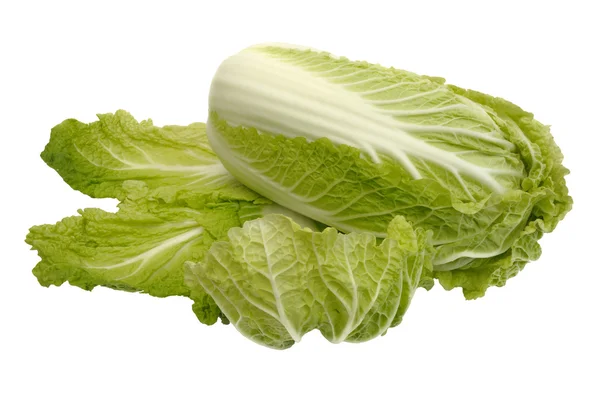 stock image Beijing cabbage, isolated