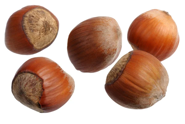 Hazelnuts, isolated — Stock Photo, Image