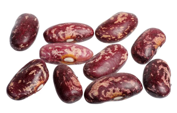 Spotted beans, isolated — Stock Photo, Image