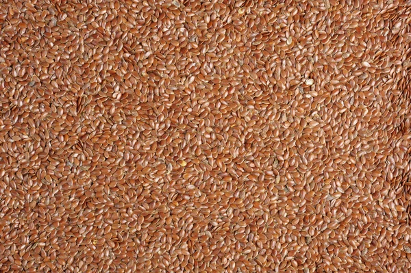 Flaxseed — Stock Photo, Image