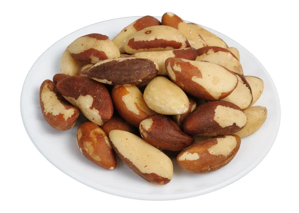 Brazil Nut (Bertholletia excelsa) — Stock Photo, Image