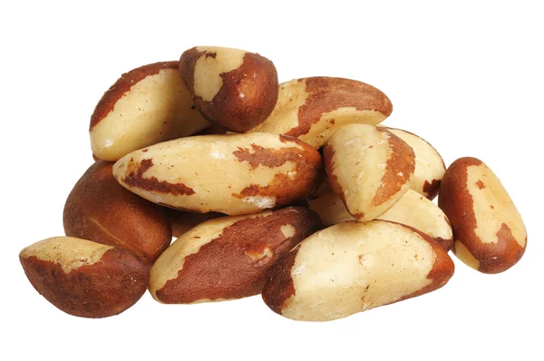 Brazil nut (Bertholletia excelsa) — Stock Photo, Image