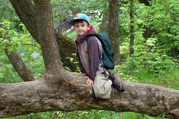 Chlapec na stromě — Stock fotografie