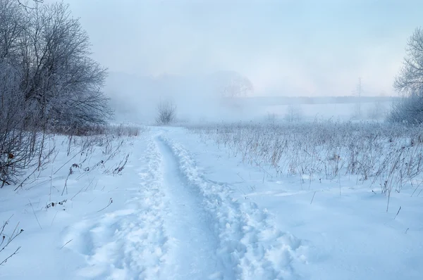 Mattina invernale gelida — Foto Stock