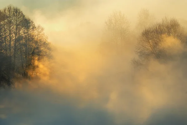서리가 내린 겨울 아침 — 스톡 사진