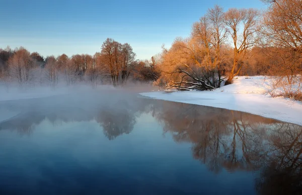 Soğuk bir kış sabahı — Stok fotoğraf
