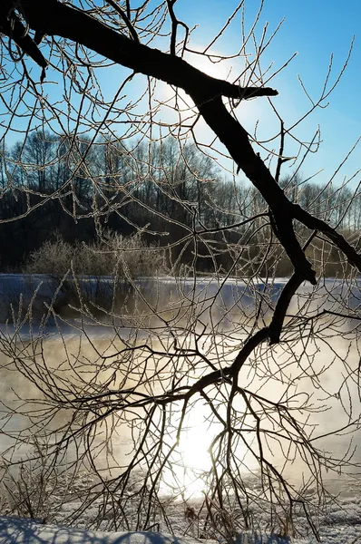 Frosty winter morning — Stock Photo, Image